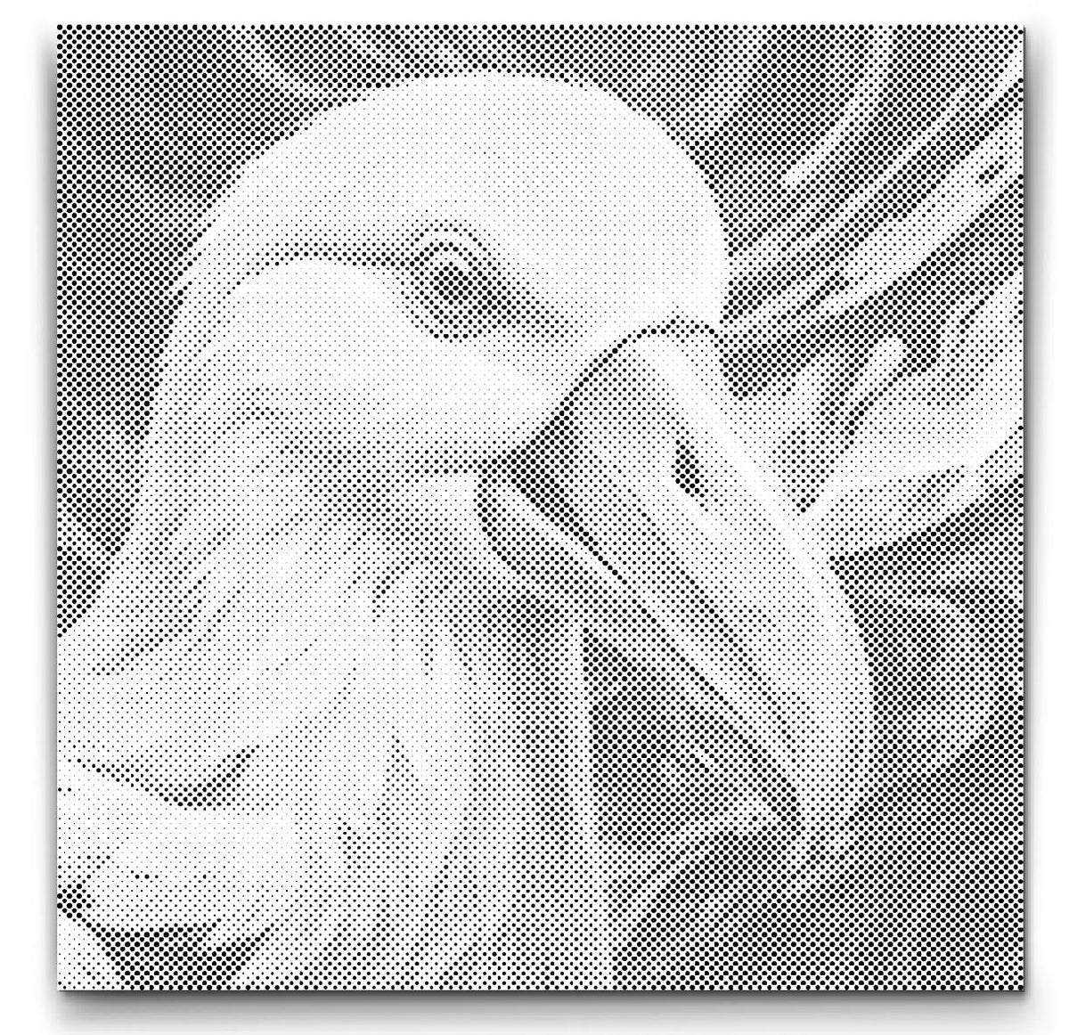 Albatross | Prickmålning som färdigt prickmålning motiv