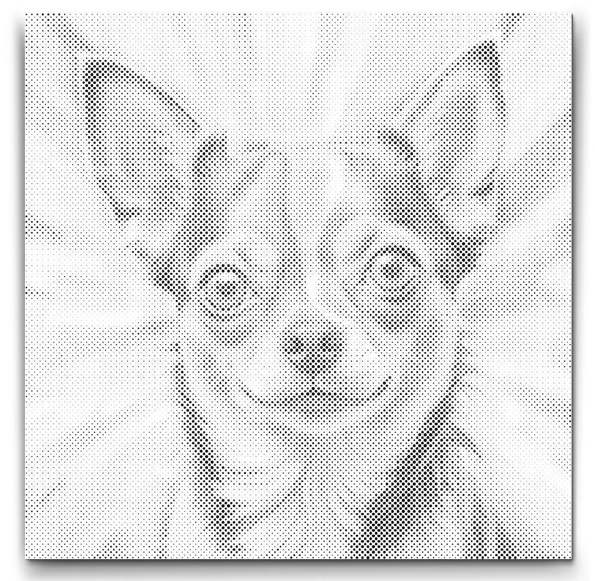 Chihuahua | Dot Painting Kit som færdigt mal med prikker motiv