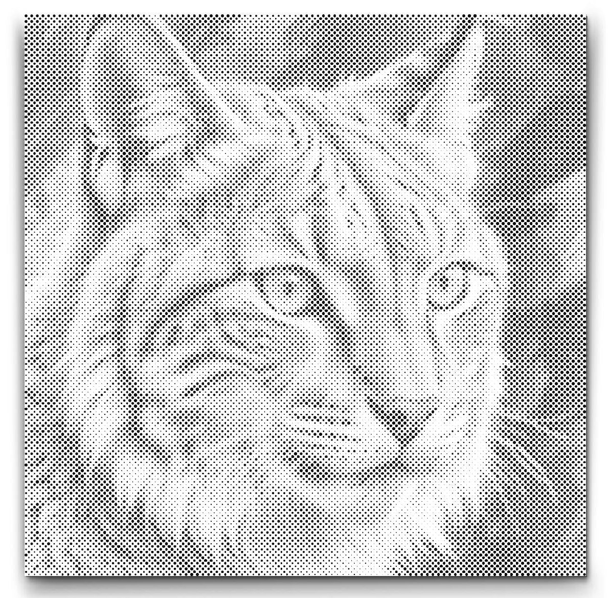 Dot Painting Luchs – Punktmalerei Tiermotiv mit wildem Waldbewohner