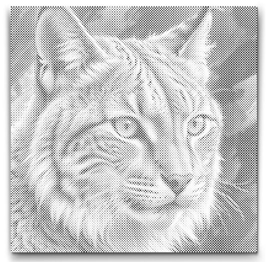 Dot Painting Luchs – Punktmalerei Tiermotiv mit wildem Waldbewohner