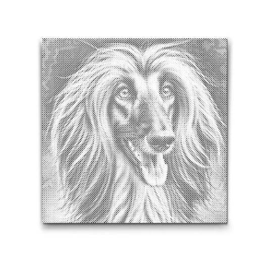 Dot Painting Afghanischer Windhund – Wandbild mit langhaarigem Afghane in eleganter Haltung