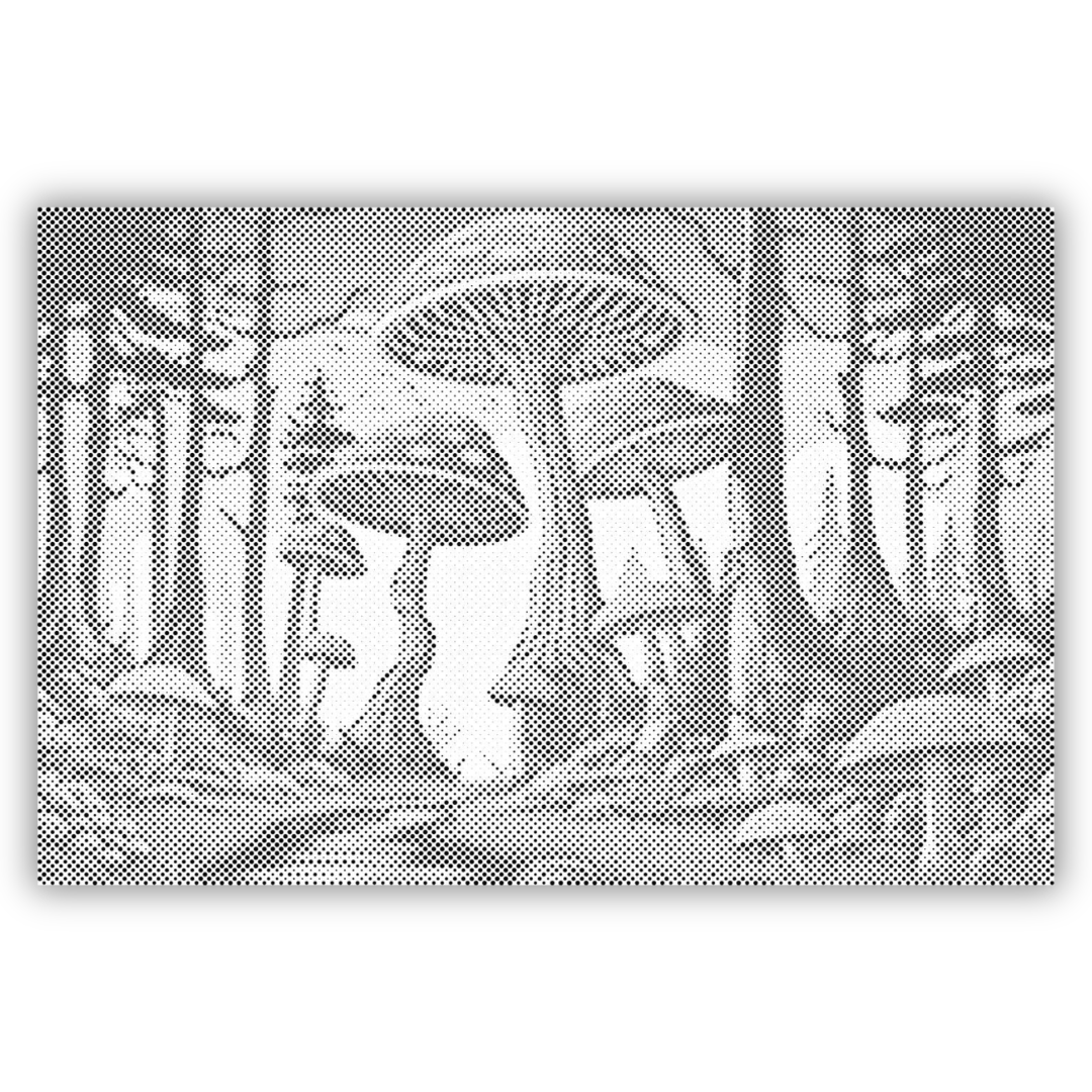 Mushrooms | Dot Painting Kit finished dot painting artwork